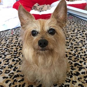 Meet your Posher, Lea ann